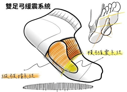 動態雙足弓支撐概念